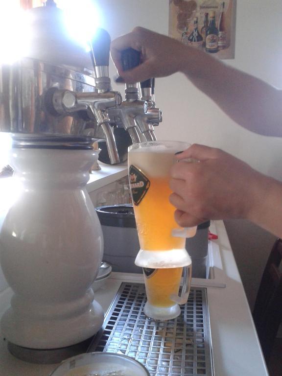 Hluboká nad Vltavou 酒吧农舍旅馆酒店 外观 照片